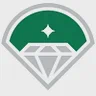 DIAMOND BASEBALL HOLDINGS LLC logo